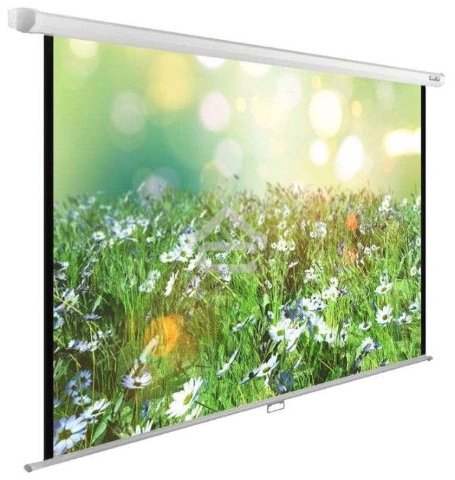Экран Cactus 200x200 см WallExpert CS-PSWE-200x200-WT 1:1 настенно-потолочный рулонный