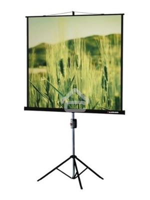 Экран на треноге Lumien 220x165см Master View LMV-100113 4:3 напольный рулонный