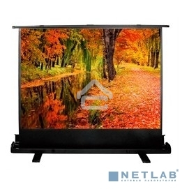 Экран Cactus 150x200см FloorExpert CS-PSFLE-200X150 4:3 напольный рулонный