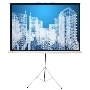 Экран Cactus 104.4x186см Triscreen CS-PST-104x186 1:1 напольный рулонный белый