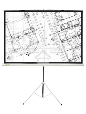 Экран Cactus 127x127см Triscreen CS-PST-127X127 1:1 напольный рулонный белый