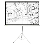 Экран Cactus 127x127см Triscreen CS-PST-127X127 1:1 напольный рулонный белый