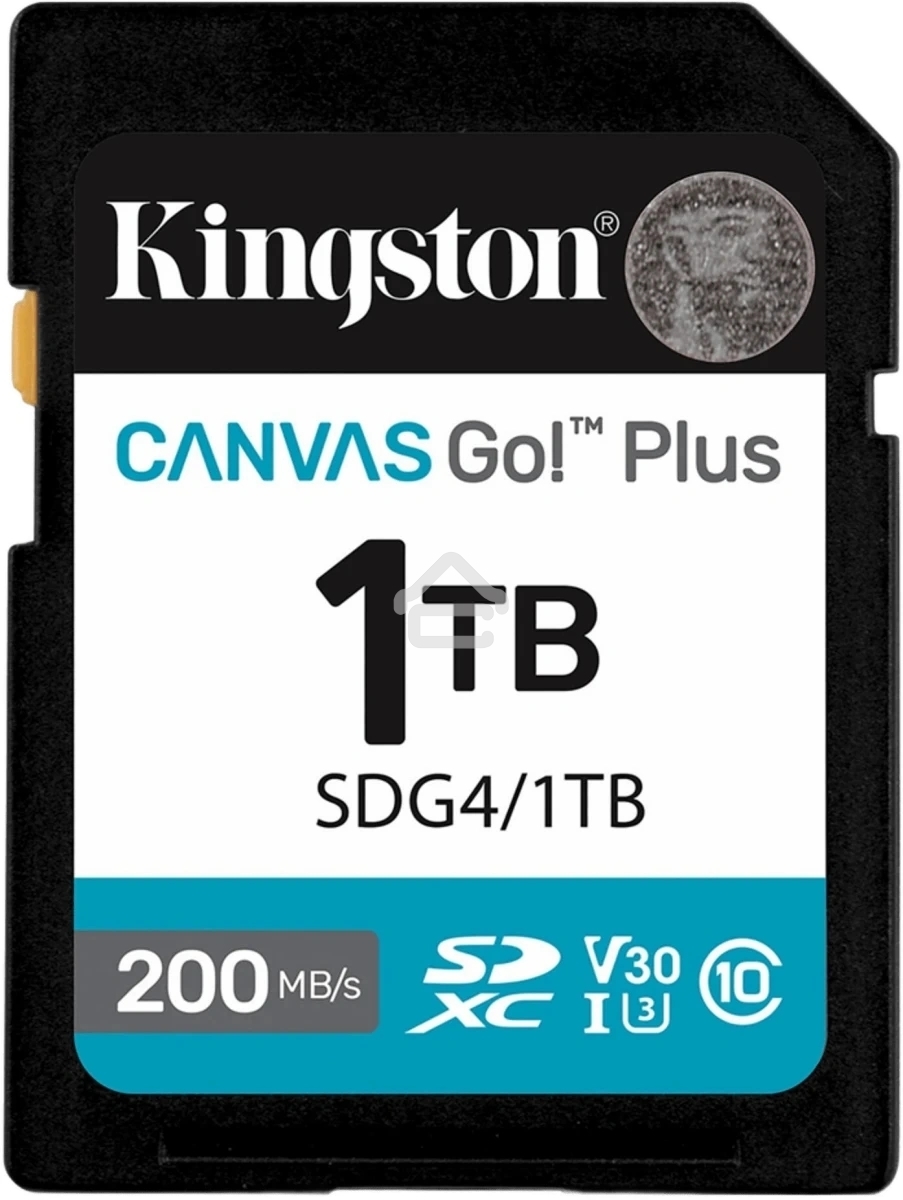 Флеш карта SDXC 1Tb Kingston SDG4/1Tb Canvas Go! Plus w/o adapter