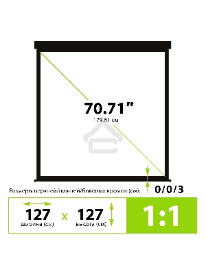Экран Cactus 127x127см Wallscreen CS-PSW-127X127-BK 1:1 настенно-потолочный рулонный черный