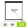 Экран Cactus 127x127см Wallscreen CS-PSW-127X127-BK 1:1 настенно-потолочный рулонный черный