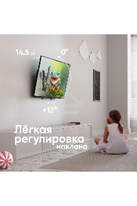 Кронштейн для телевизора ONKRON TM5-BW черный/белый 32