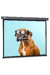 Экран Cactus 149.4x265.7см Wallscreen CS-PSW-149X265-SG 16:9 настенно-потолочный рулонный серый