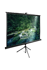 Экран Cactus 165x220см TriExpert CS-PSTE-220х165-BK 4:3 напольный рулонный