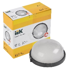 Светильник IEK 100Вт черный (LNPP0-1101-1-100-K02)