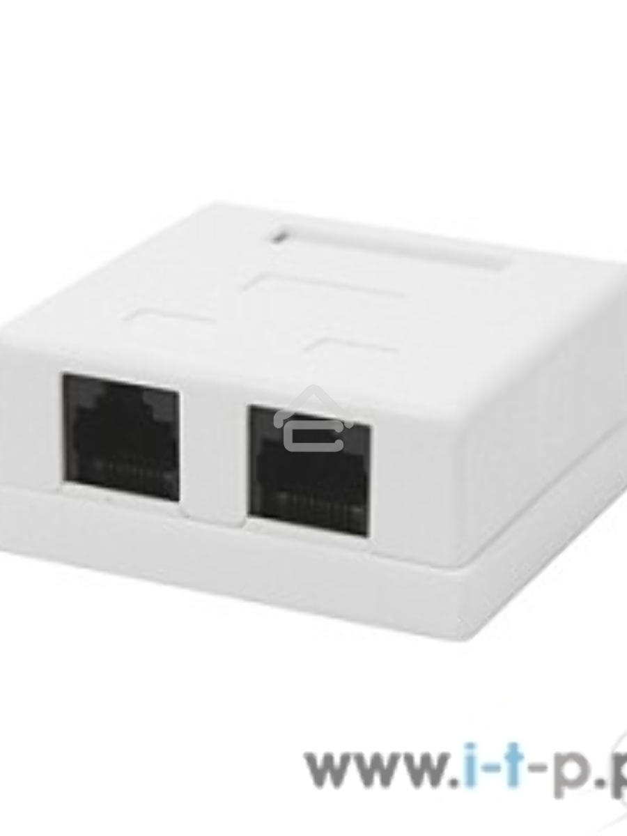 Розетка GEMBIRD NA214 RJ-45 кат.5e внешняя 2 порта, 110&Krone