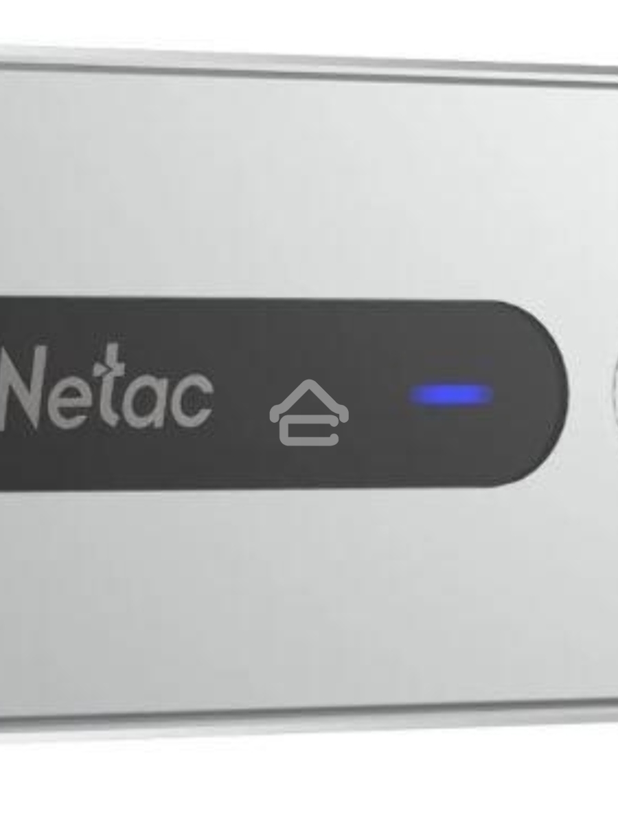Внешний накопитель SSD Netac Z11 250GB USB 3.2 Gen 2 Type-C NT01Z11-250G-32SL (отпечаток пальца)