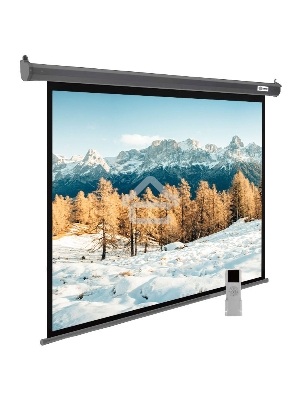 Экран Cactus 188x300см SIlverMotoExpert CS-PSSME-300X188-DG 16:10 настенно-потолочный рулонный тёмно-серый (моторизованный привод)