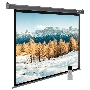 Экран Cactus 188x300см SIlverMotoExpert CS-PSSME-300X188-DG 16:10 настенно-потолочный рулонный тёмно-серый (моторизованный привод)