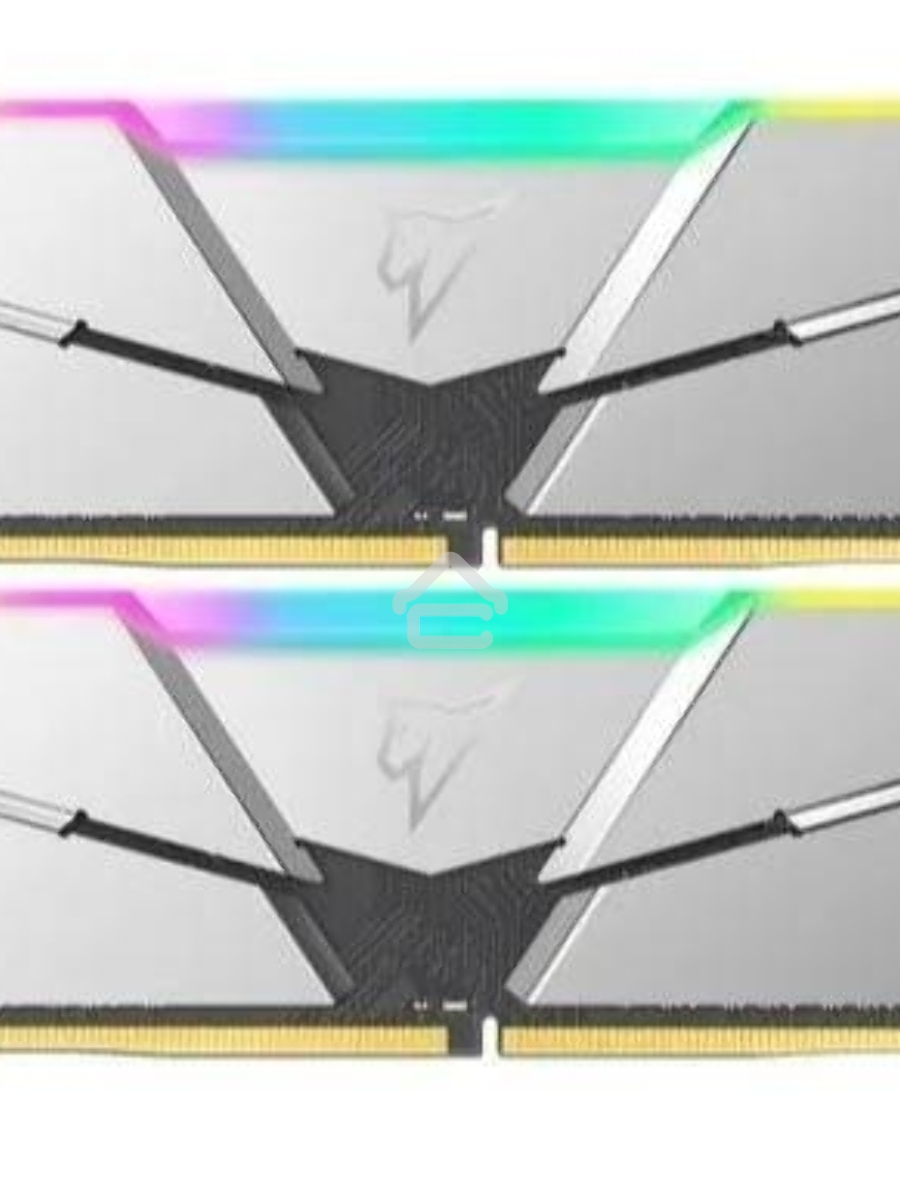 Оперативная память NETAC Shadow, DDR5, 32GB (2x16 GB), 4800 MHz, CL40, DIMM, радиатор, RGB, серебристый