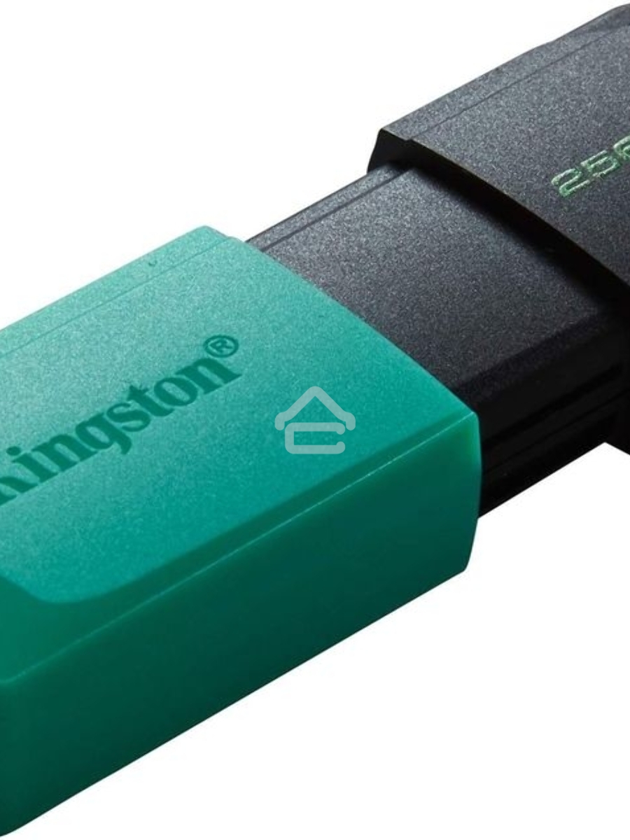 Флеш диск Kingston 256Gb DataTraveler DTXM DTXM/256GB USB3.2 черный/зеленый