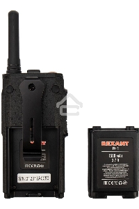 Портативная профессиональная радиостанция REXANT R-1