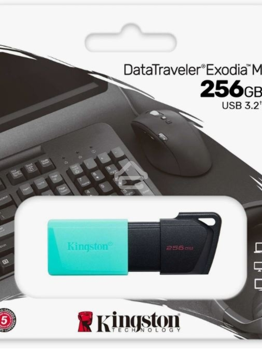 Флеш диск Kingston 256Gb DataTraveler DTXM DTXM/256GB USB3.2 черный/зеленый