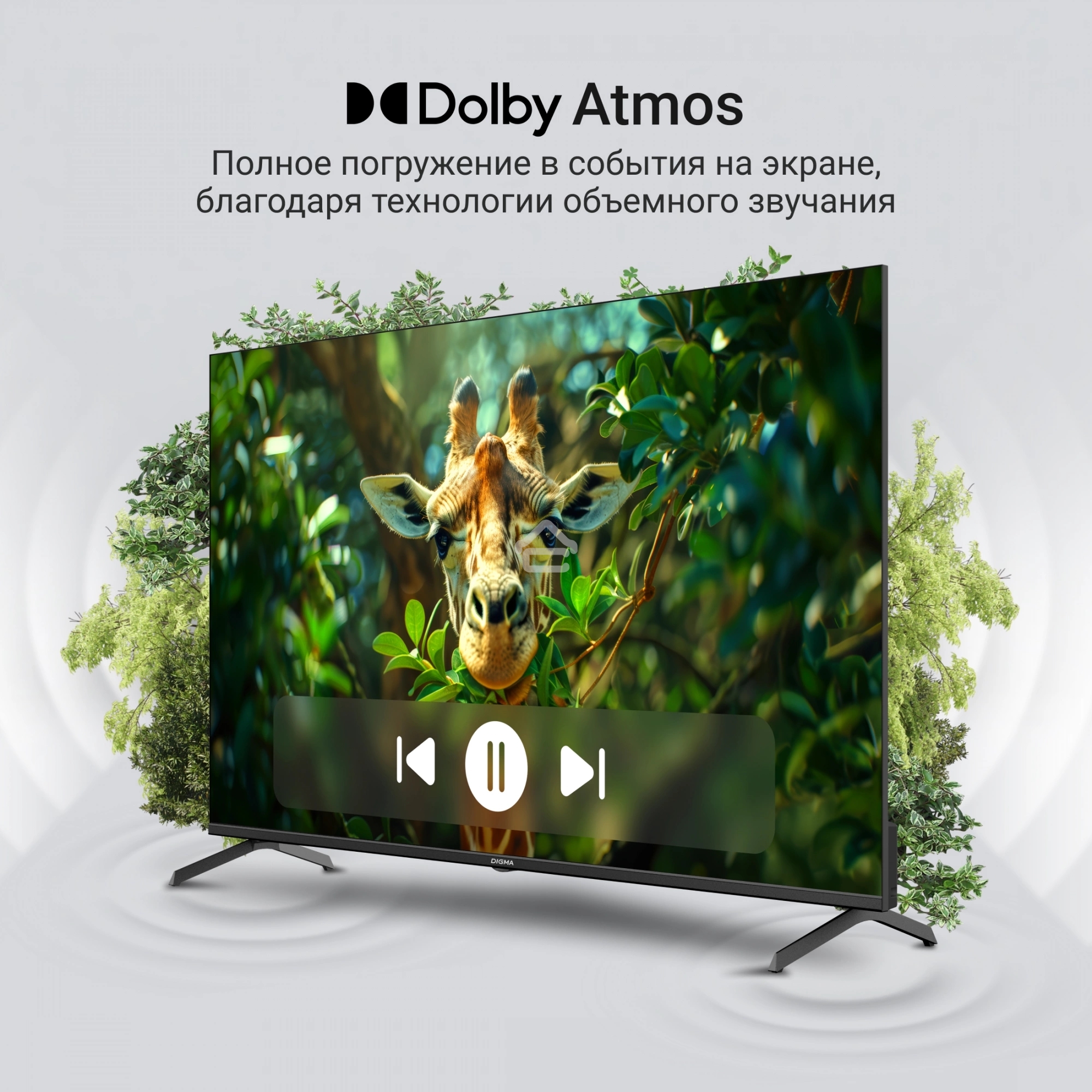 Телевизор Digma 55