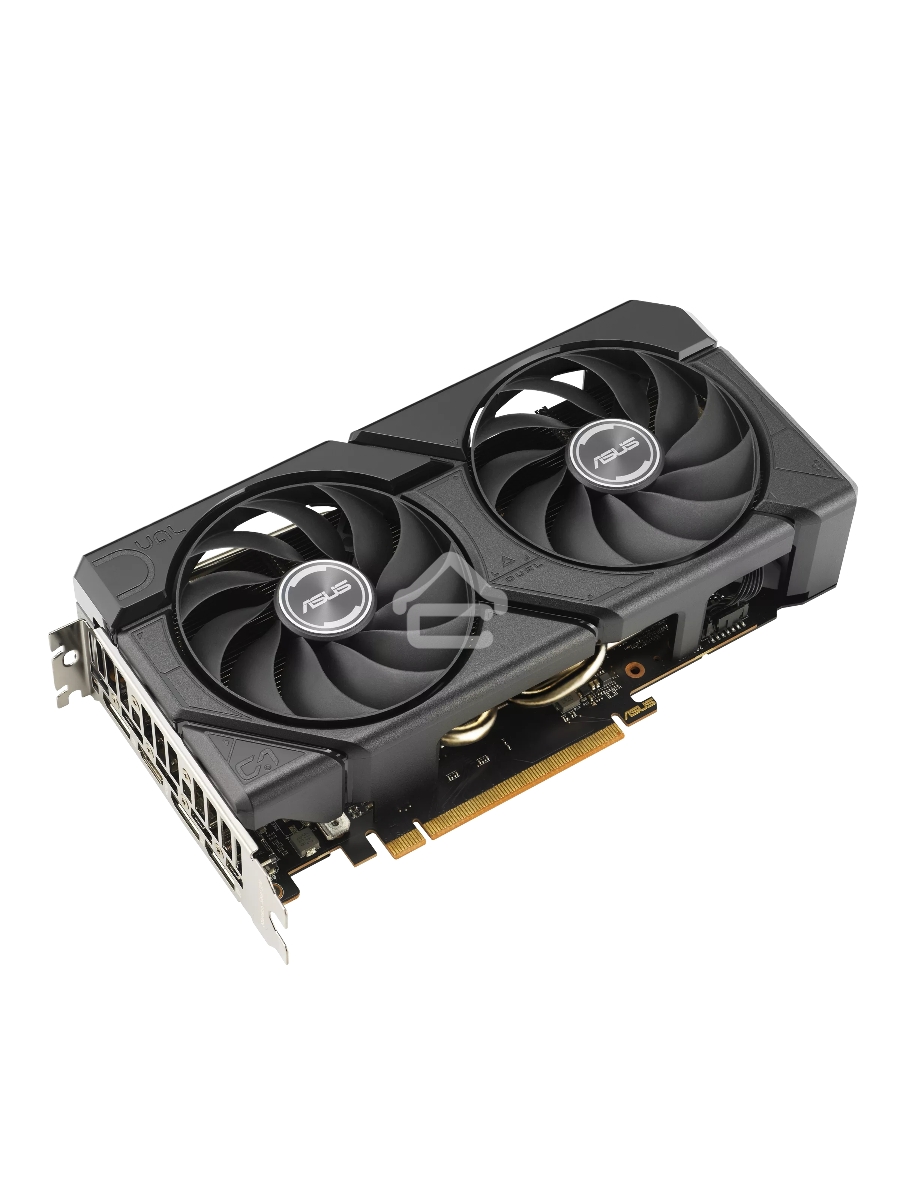 Видеокарта Asus AMD Radeon RX 7600 8Gb PCI-E DUAL-RX7600-O8G-EVO 128bit GDDR6 2280/18000 HDMIx1 DPx3 HDCP Ret