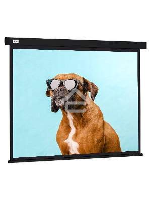Экран Cactus 183x244см Wallscreen CS-PSW-183X244-BK 4:3 настенно-потолочный рулонный черный
