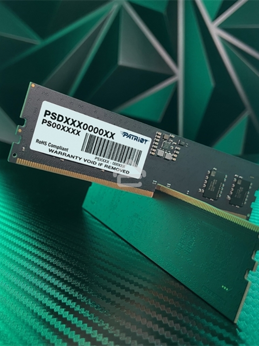 Оперативная память Patriot Signature, DDR5, 8GB (1x8 GB), 4800 MHz, CL40, DIMM
