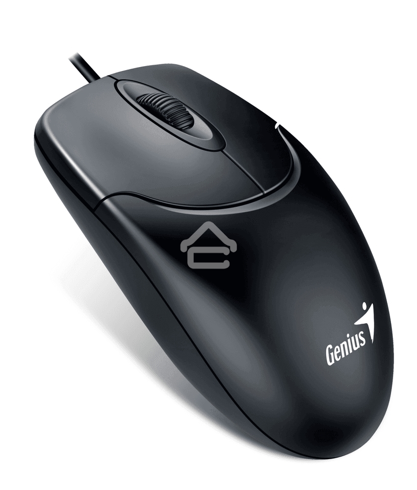 Мышь проводная Genius NetScroll 120 V2 черный, 1000 dpi, USB, кнопки - 3