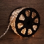 Дюралайт LED, свечение с динамикой (3W) - ТЕПЛЫЙ БЕЛЫЙ, 24 LED/м, бухта 100м