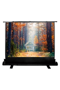 Экран Cactus 135x180см FloorExpert CS-PSFLE-180X135 4:3 напольный рулонный