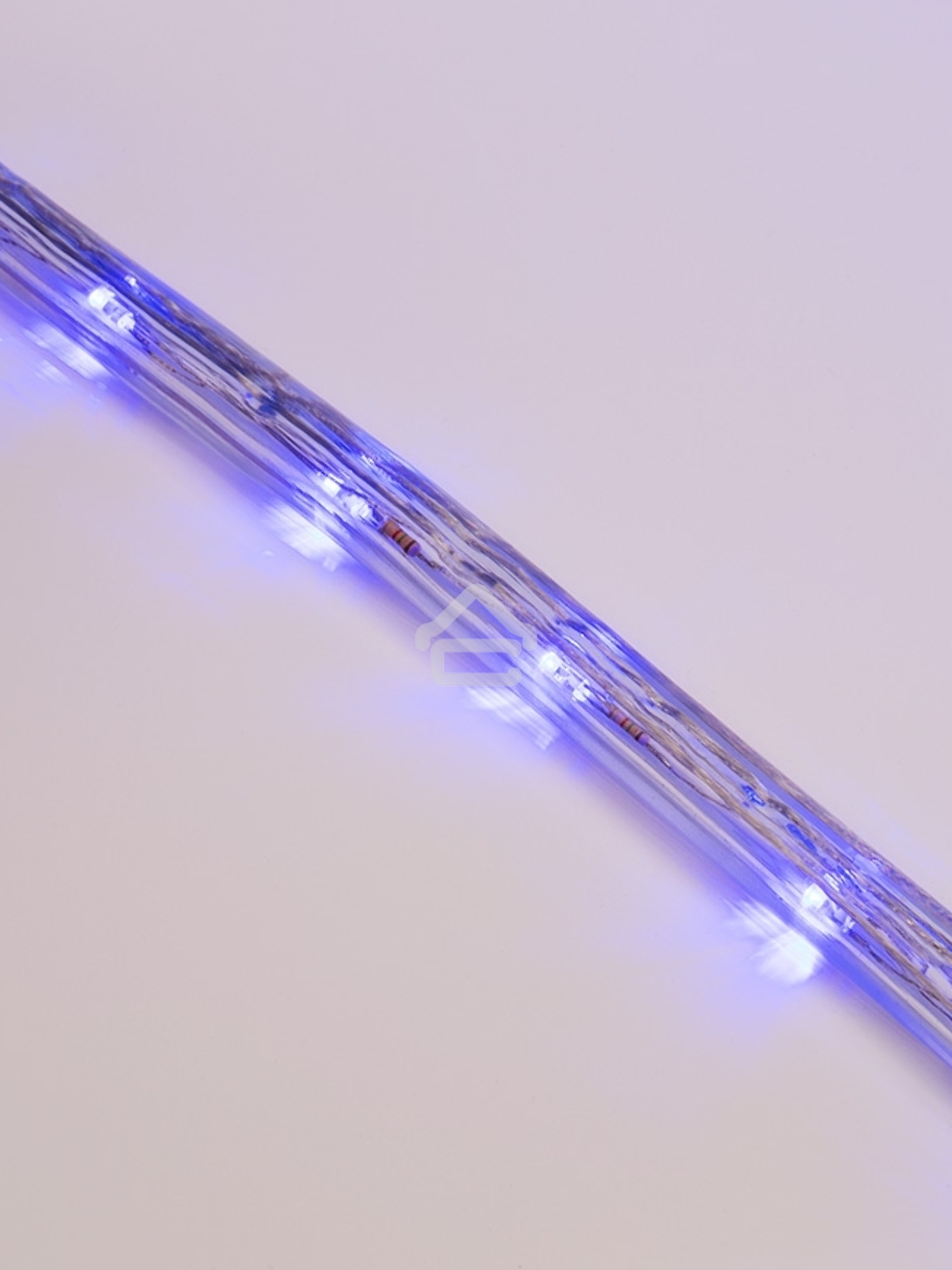 Дюралайт LED, свечение с динамикой (3W) - синий, 24 LED/м, бухта 100м
