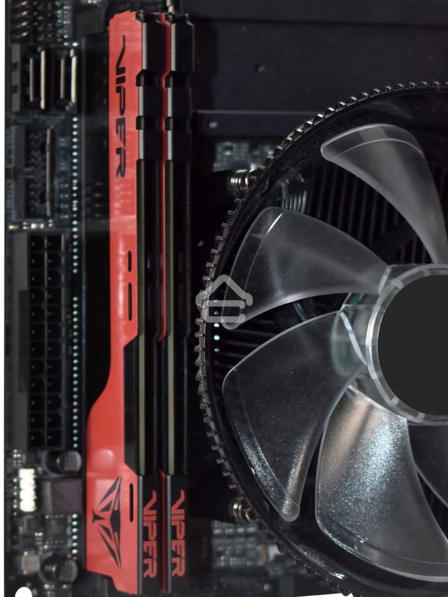 Оперативная память Patriot Viper Elite II, DDR4, 16GB (1x16 GB), 3200 MHz, CL18, DIMM, радиатор, красный, чёрный