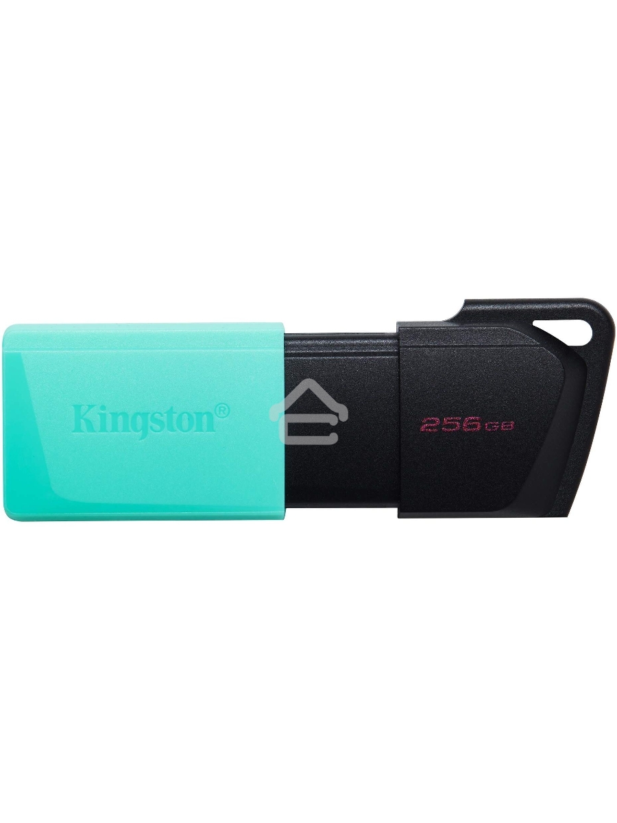 Флеш диск Kingston 256Gb DataTraveler DTXM DTXM/256GB USB3.2 черный/зеленый