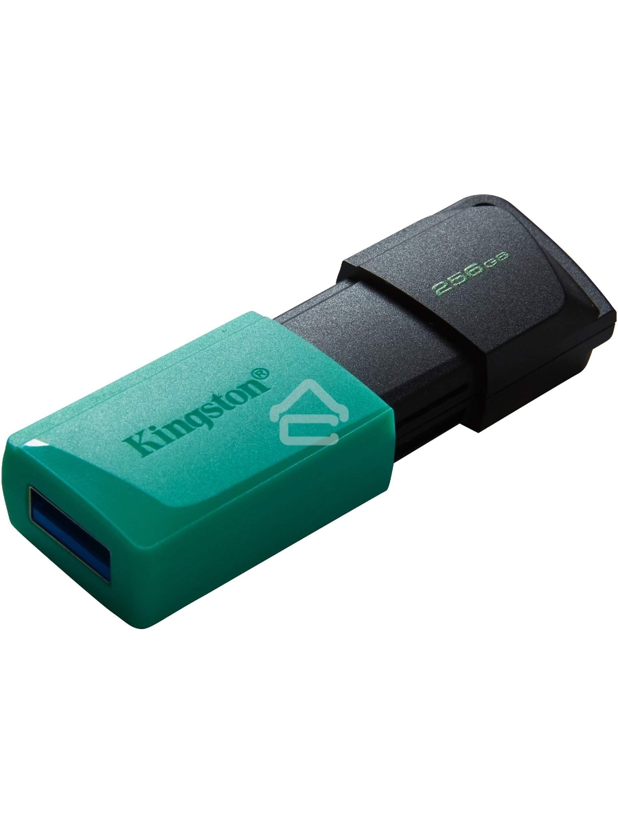 Флеш диск Kingston 256Gb DataTraveler DTXM DTXM/256GB USB3.2 черный/зеленый