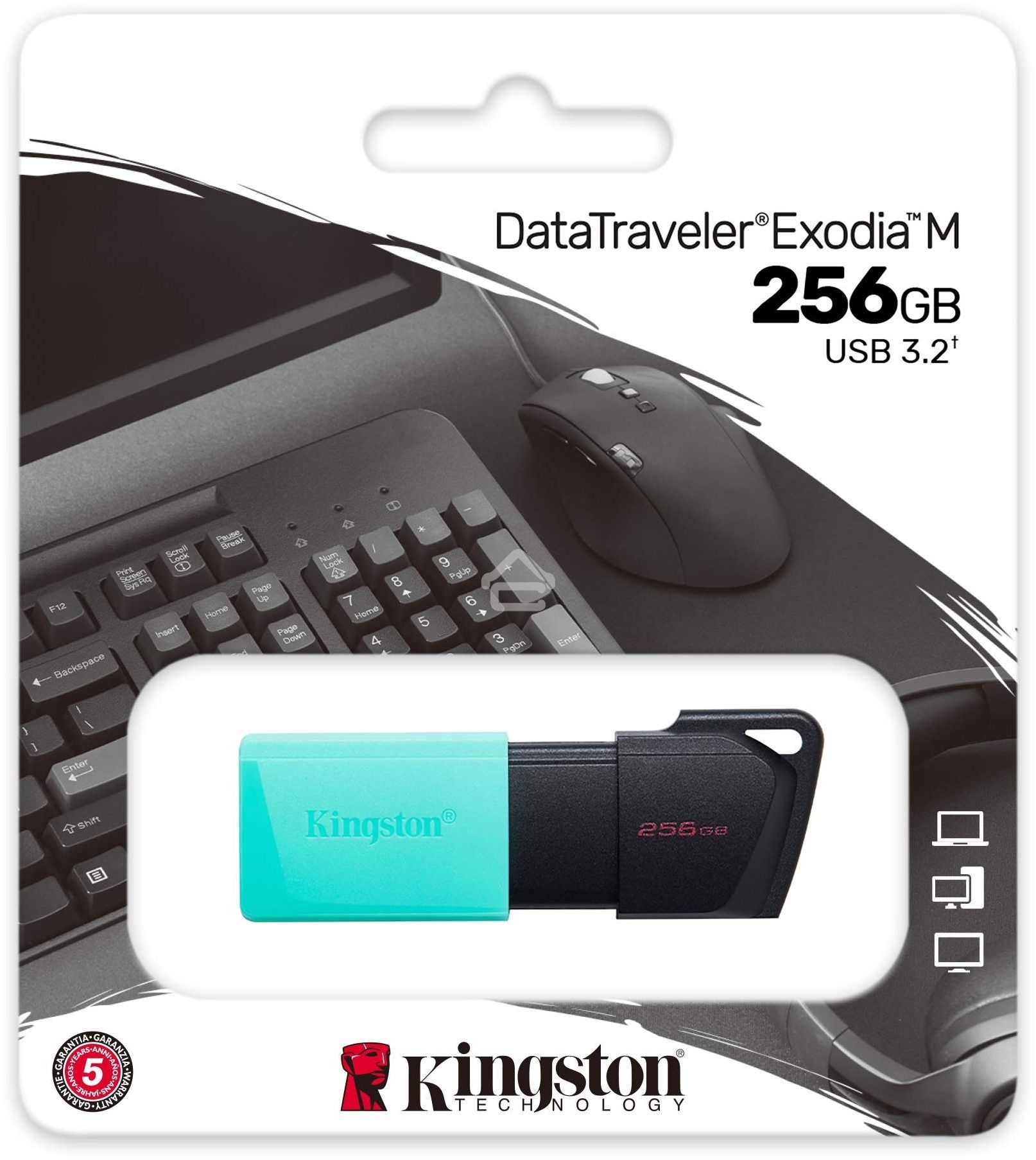 Флешка USB Kingston 256Gb DataTraveler DTXM DTXM/256Gb USB 3.2 черный/зеленый
