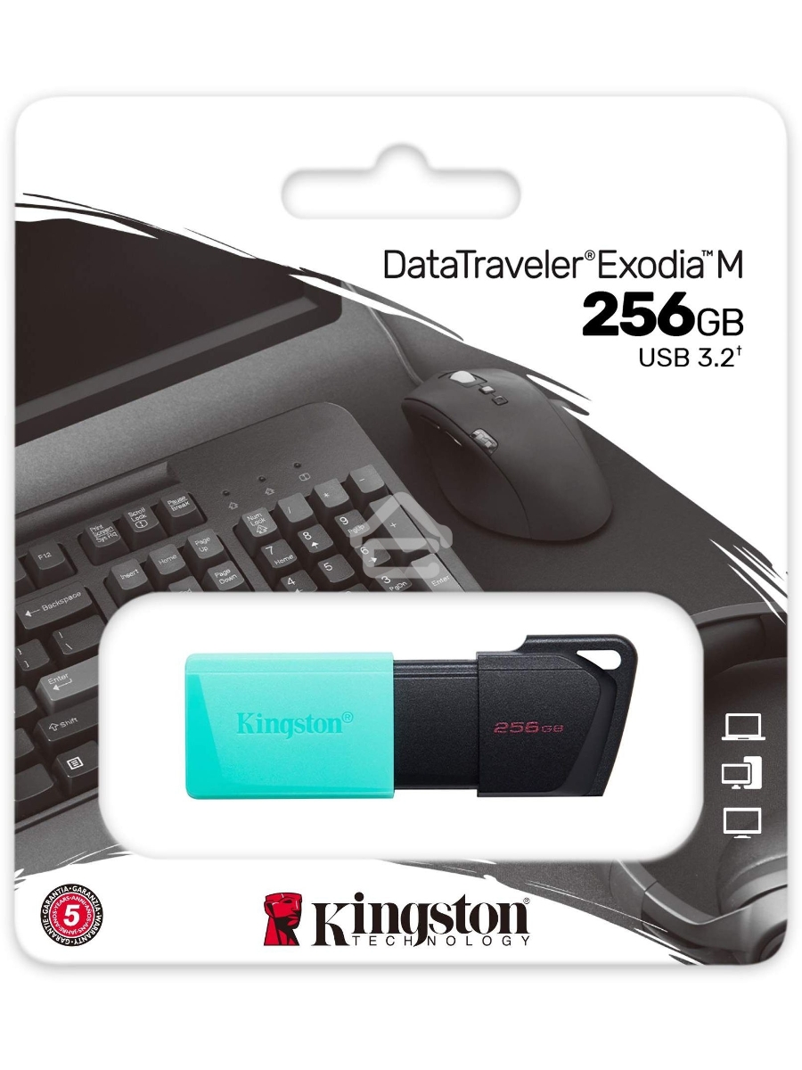 Флеш диск Kingston 256Gb DataTraveler DTXM DTXM/256GB USB3.2 черный/зеленый
