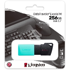 Флешка USB Kingston 256Gb DataTraveler DTXM DTXM/256Gb USB 3.2 черный/зеленый
