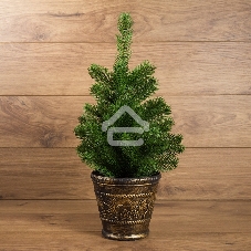 Елочка Neon-night 45 см в пластиковом горшке, Литая