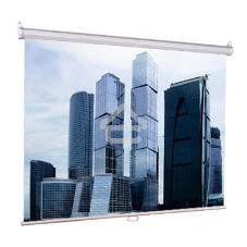 Экраны LUMIEN Eco Picture LEP-100101, 150х150 см, 1:1