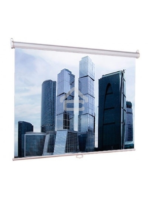 Экраны  LUMIEN Eco Picture LEP-100101,  150х150 см, 1:1