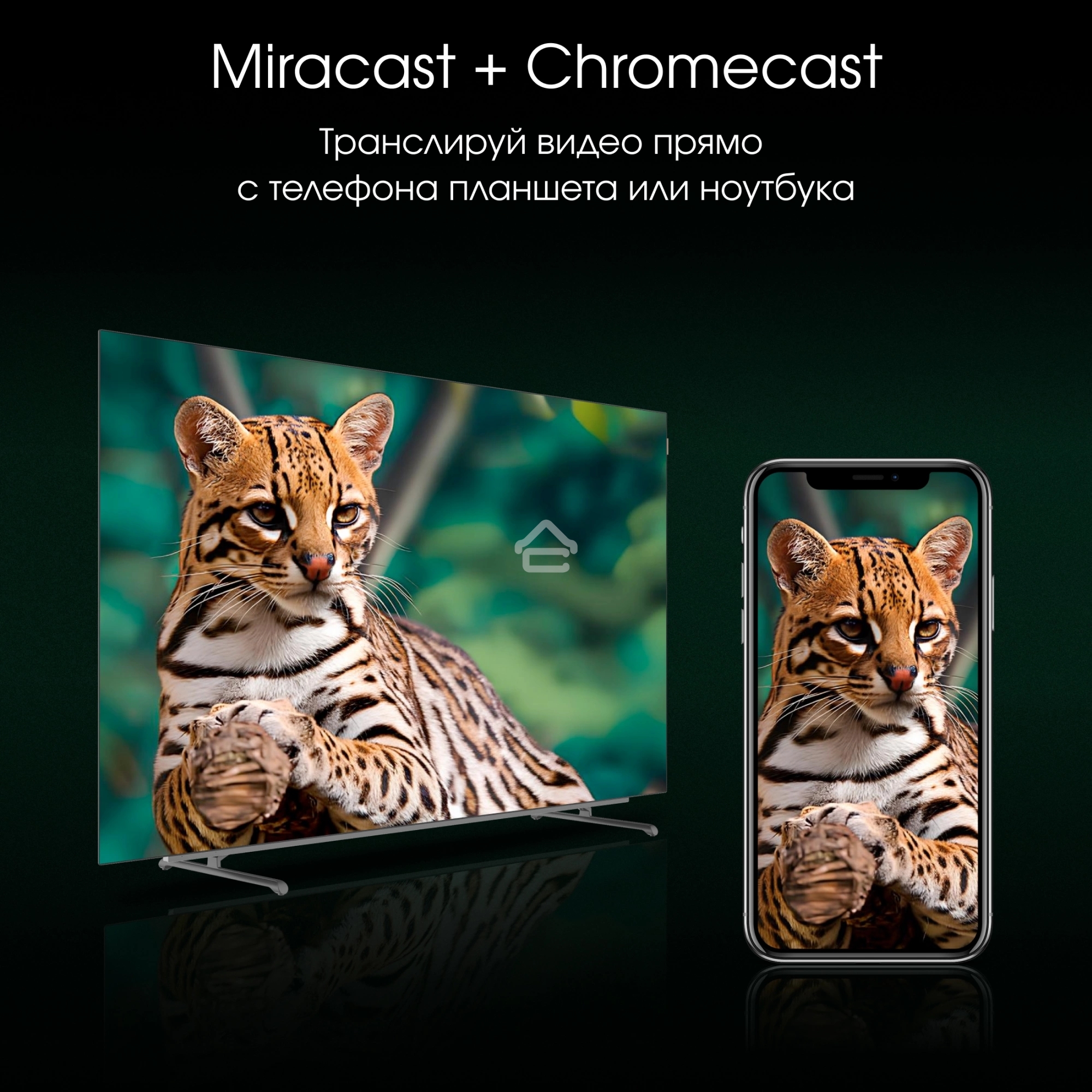 Телевизор Digma 55