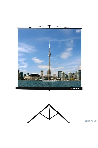 Экран на штативе Lumien Eco View 180x180см (раб.область 174х174 см) Matte White с возможностью настенного крепления 1:1