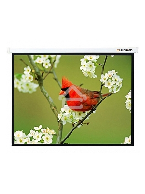 Экран Lumien 305x305см Master Picture LMP-100107 1:1 настенно-потолочный рулонный