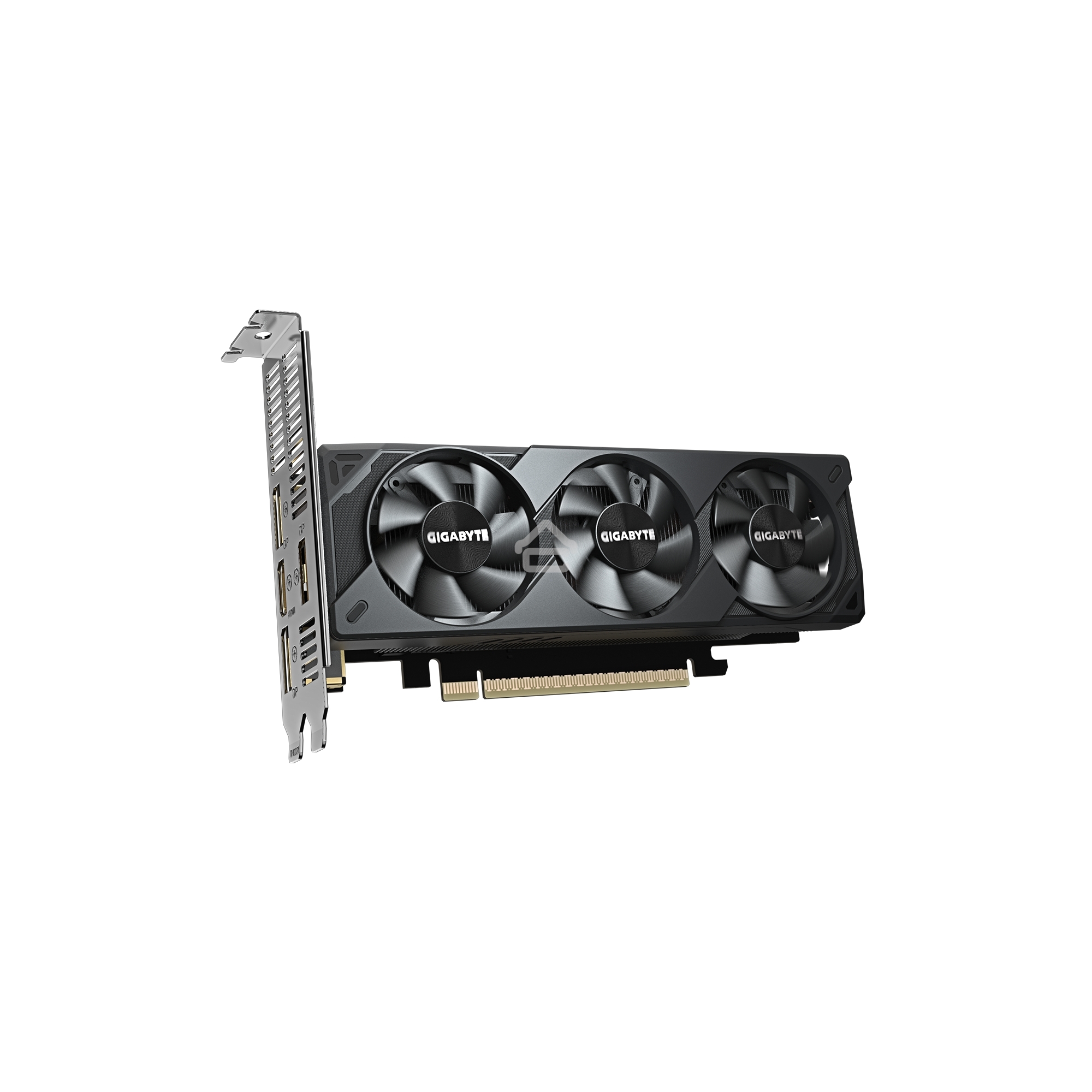 Видеокарта Gigabyte PCI-E 5.0 GV-N5060OC-8GL 1.0 NVIDIA GeForce RTX 5060 8Gb 128bit GDDR7 2512/28000 HDMIx1 DPx3 HDCP Ret low profile