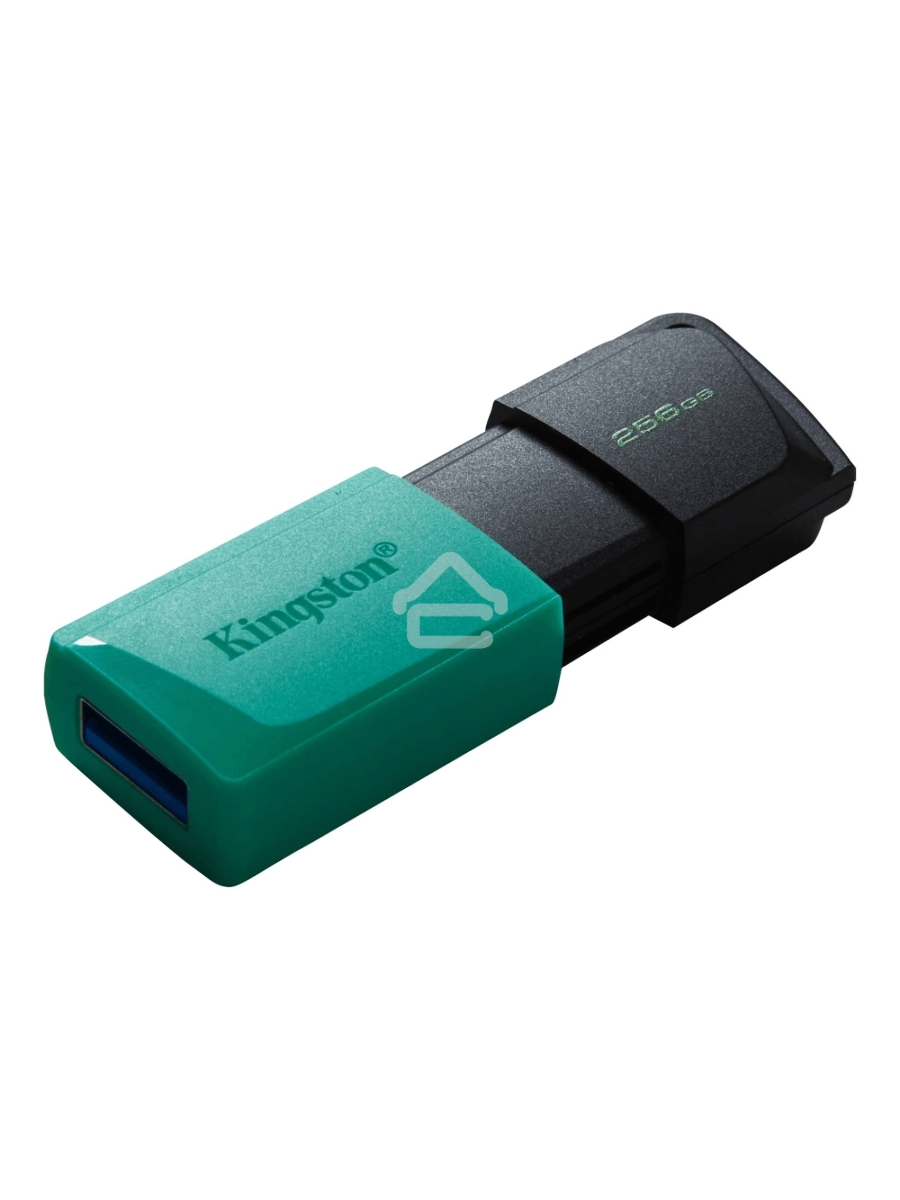 Флеш диск Kingston 256Gb DataTraveler DTXM DTXM/256GB USB3.2 черный/зеленый
