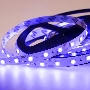 Лента LED открытая, 10 мм, IP23, SMD 5050, 60 LED/m, 12 V, цвет свечения синий