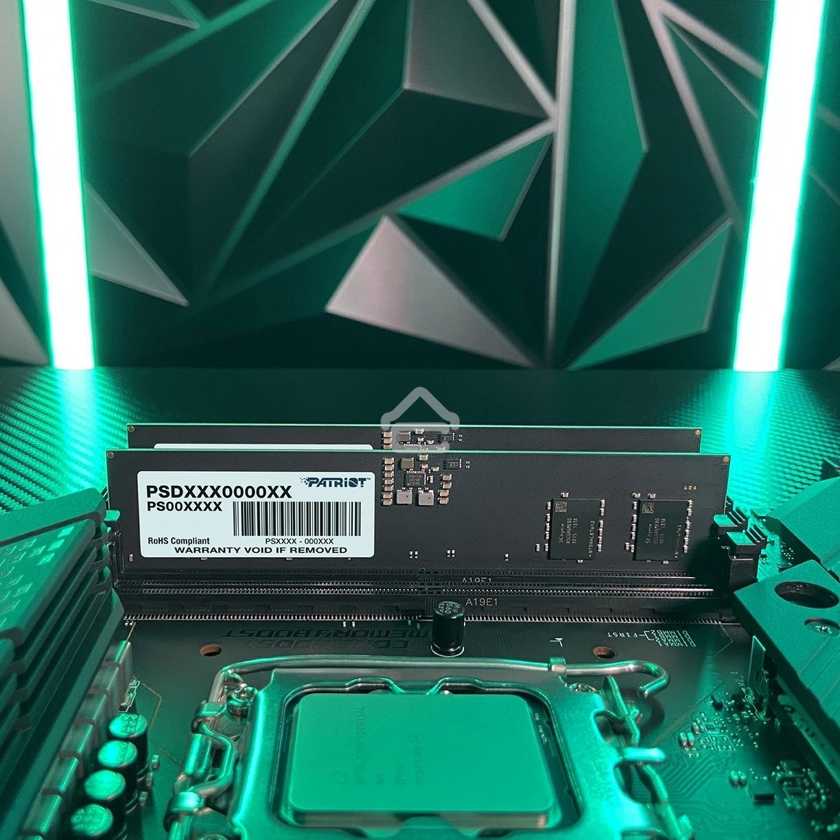 Оперативная память Patriot Signature, DDR5, 8GB (1x8 GB), 5200 MHz, CL42, DIMM