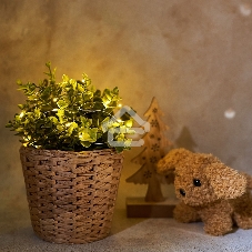 Гирлянда Neon-night 