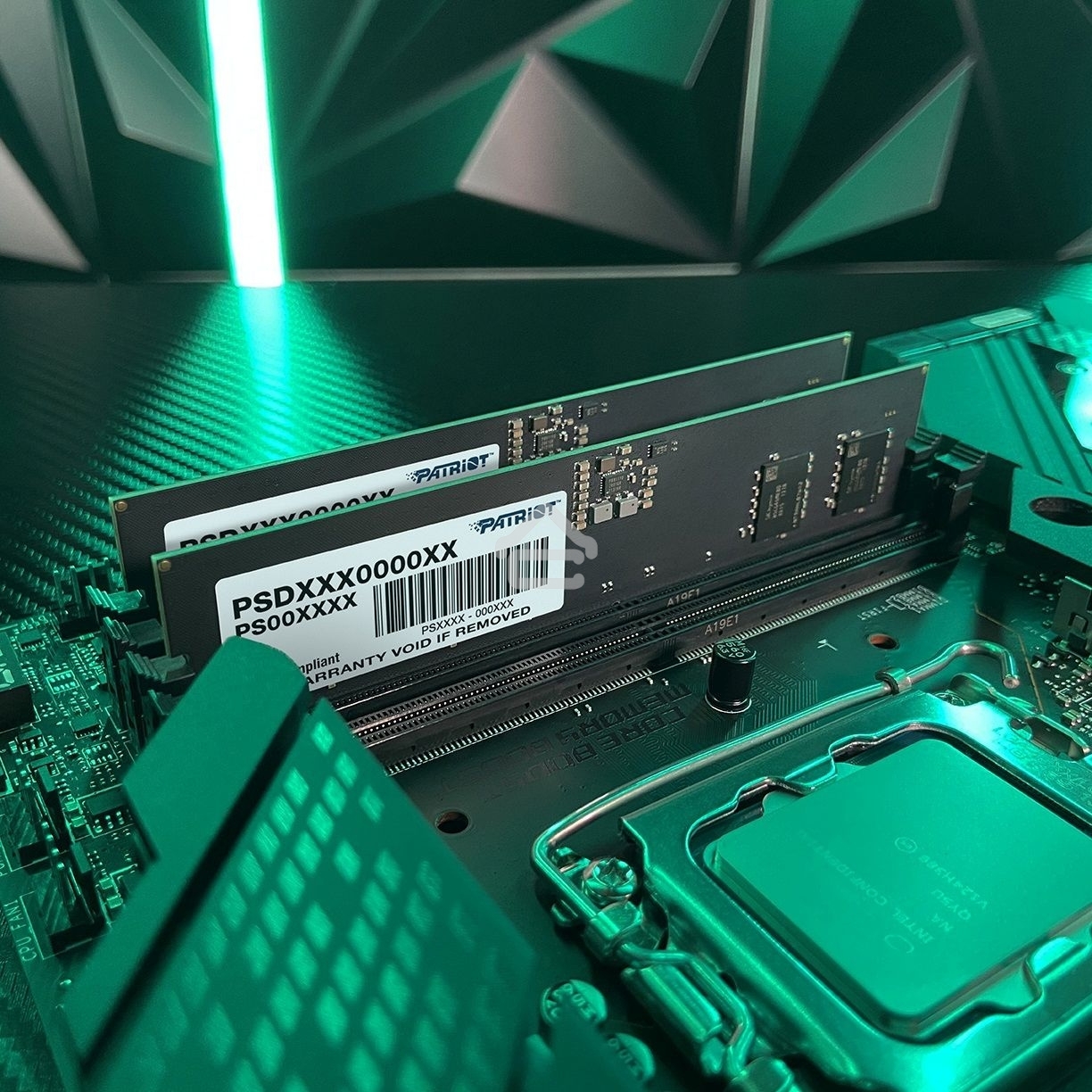 Оперативная память Patriot Signature, DDR5, 16GB (1x16 GB), 5600 MHz, CL46, DIMM