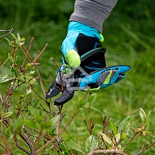 Секатор с наковальней Palisad LUXE 220 мм, регулировка захвата, трехкомпонентные рукоятки