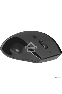 Мышь беспроводная Defender Accura MM-295 черный, 1600 dpi, радиоканал, USB, кнопки - 6