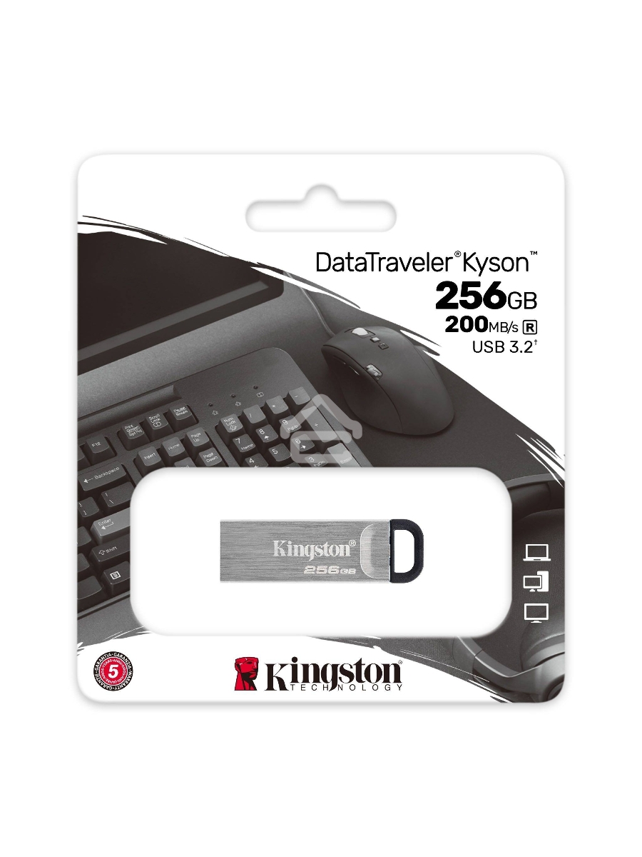 Флеш диск Kingston KYSON 256GB USB 3.2 Gen 1